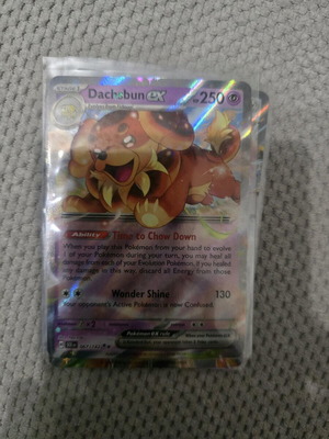 Dachsbun EX Pokemon card new