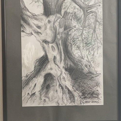 Tree trunk original charcoal and pencil artwork by Theo Xenos like new 40x50