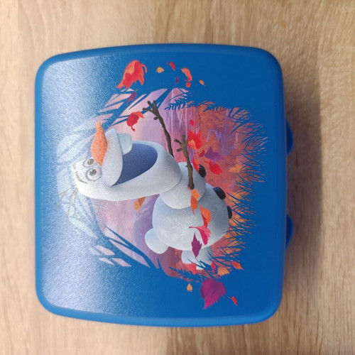 Tupperware Frozen toast and snack container
