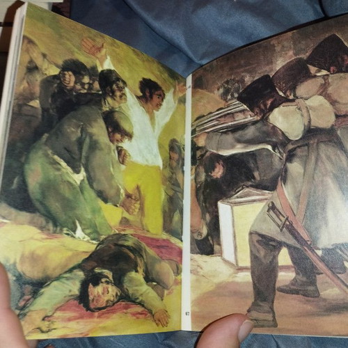 Goya Dolphin Art Book by Margherita Abbruzzese