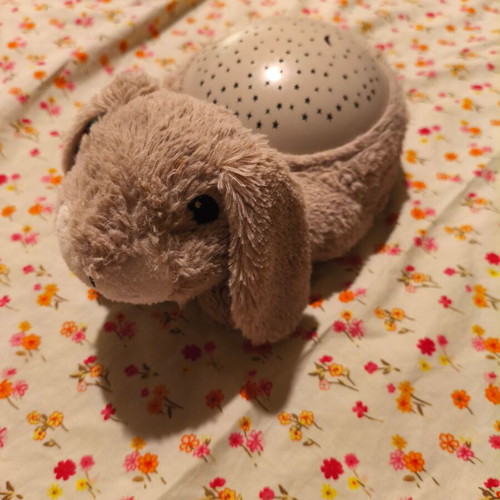 Children's Night Projector used with plush bunny and musical teddy bear gift