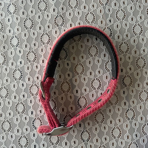 Dog muzzle, harness and collar like new
