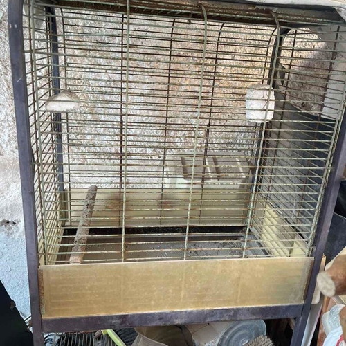 Large parrot cage
