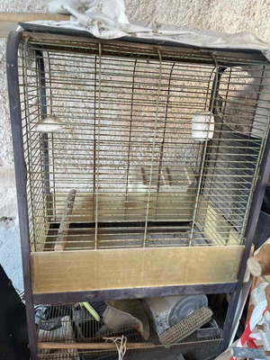Large parrot cage