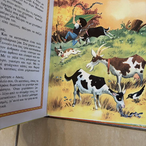 Gnorizo ta Zoa educational children's book