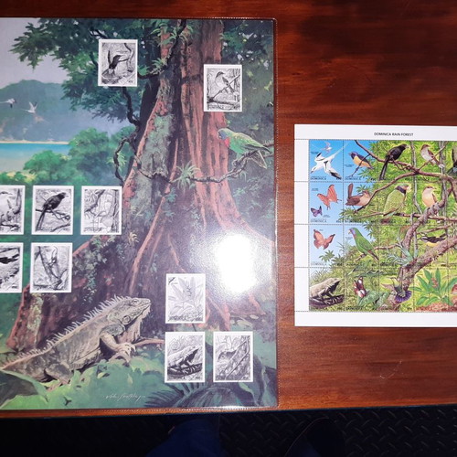 Philatelic card Dominica rain forest new with unmounted stamps