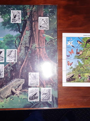 Philatelic card Dominica rain forest new with unmounted stamps