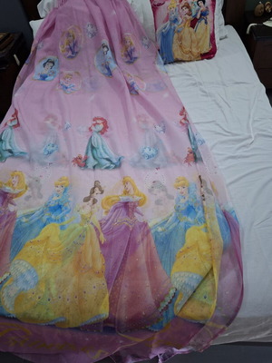 Princesses children's curtain, two pieces