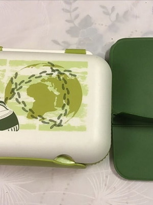 Food container new with removable divider