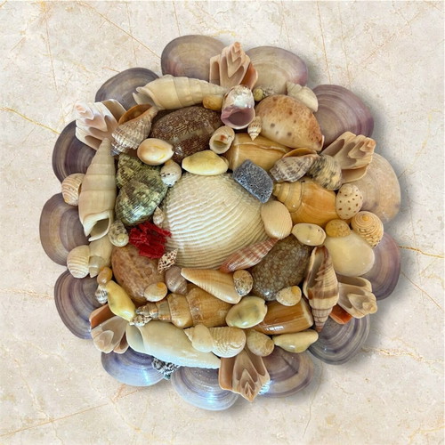 Handmade decorative seashell wall decor like new