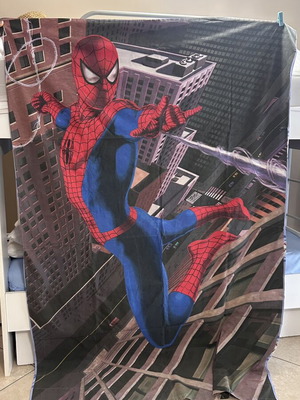 Παιδική παπλωματοθήκη Spiders διπλής όψης με κουμπιά, 1,50x2,50 μ., μαξιλαροθήκη