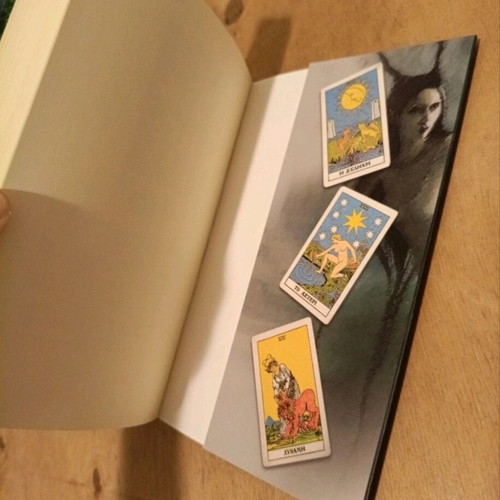 The Game of Paradox used book