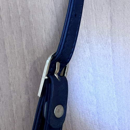 Elizabeth George Metallic Blue Shoulder Bag 2 in 1 new