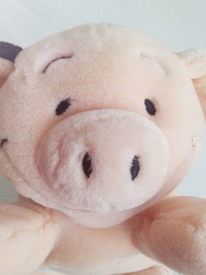 Noukie's plush pig used, suitable for babies