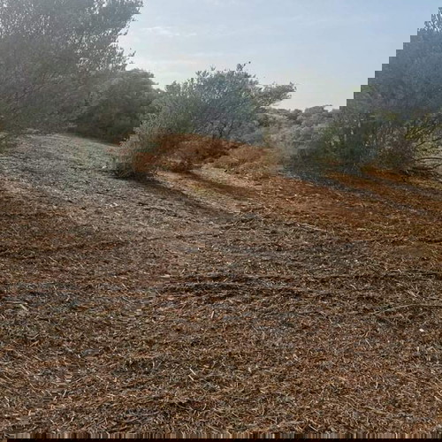 Αγροτεμάχιο 4483,5 τ.μ. οικοδομήσιμο στην Αμμουλιανή Χαλκιδικής