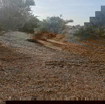  Αγροτεμάχιο 4483,5 τ.μ. (ΑΝΩ), Καραγάτσι, Νήσος Αμμουλιανή, Δήμος Αριστοτέλη, Χαλκιδική