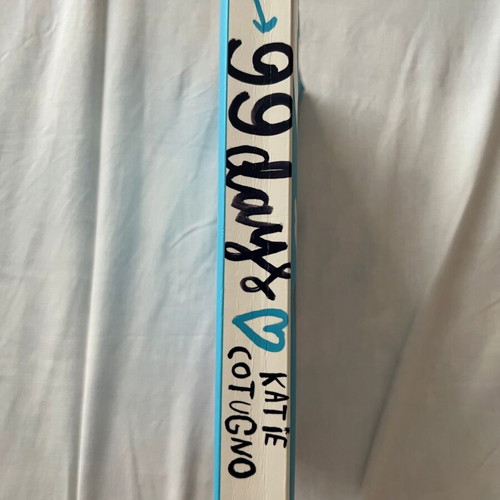 99 Days by Katie Cotugno like new English book