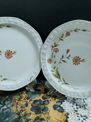 Winterling Roslau Bavaria porcelain serving plates like new, set of 2