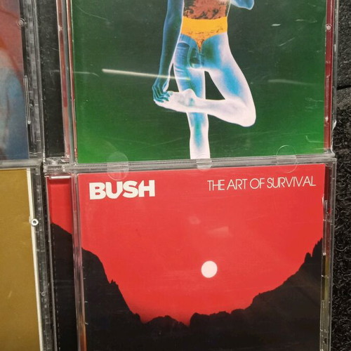 Bush CD discography like new, complete album pack with Gavin Rossdale solo