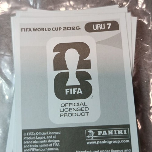 Panini FIFA World Cup 2026 sticker like new