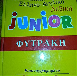 Άγγλο-ελληνικο λεξικό για παιδιά. 3 ευρώ.