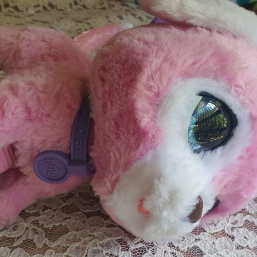 Plush dog with stick like new, barking toy