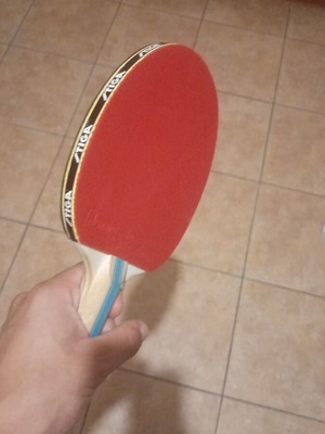 Stiga Instinct Ping Pong Racket like new