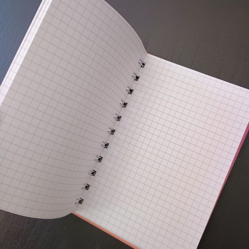 Spiral notebooks like new, pack of 2, pages with boxes