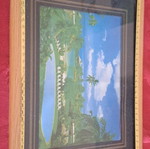 Small picture frame like new