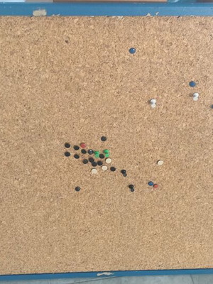Cork board used 79 x 59 cm