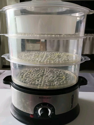 SilverCrest SDG 800 B2 steamer used, 800W, 2 liters