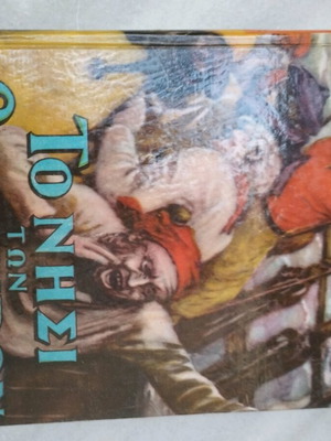 The Treasure Island used children's book