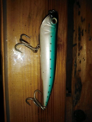 Popper MAGNET SYSTEM 29gr used with magnets for long casts