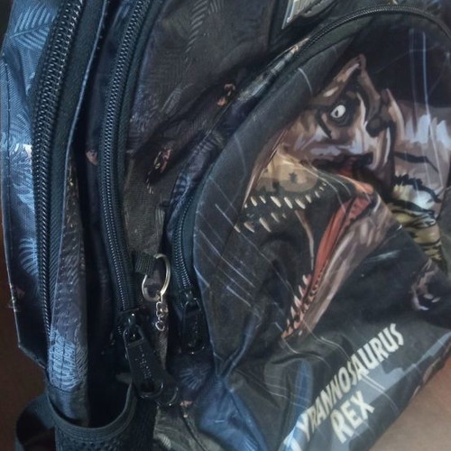 School bag used with Tyrannosaurus Rex dinosaur design