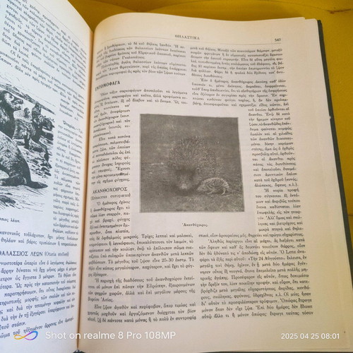 The Life of Animals used book