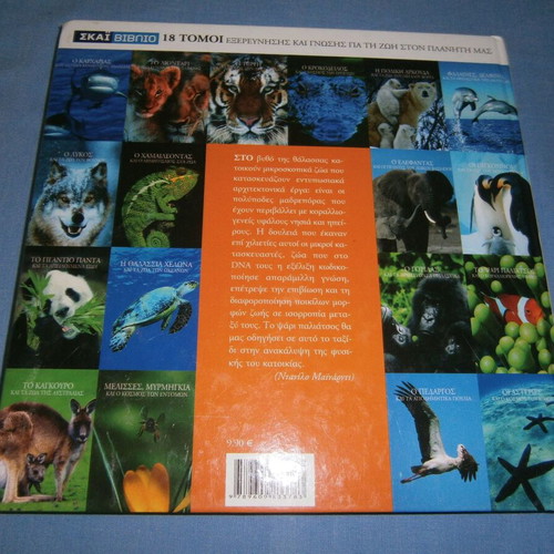 The Clownfish and the Coral Reef like new