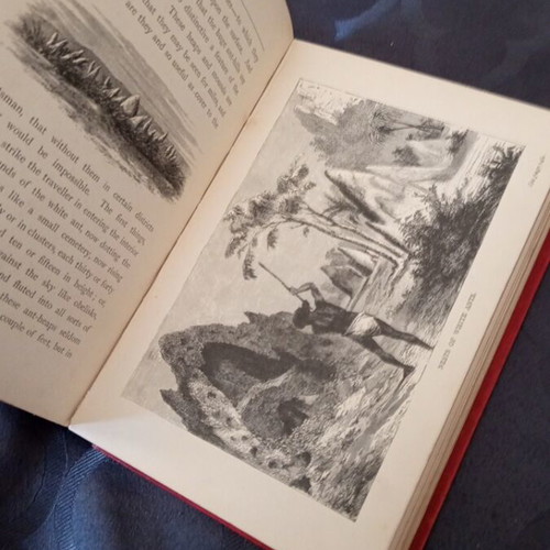 English book from 1895 used, about Africa with many illustrations