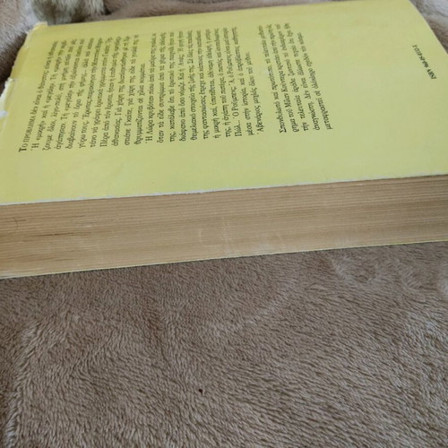 Book The Immortality Milan Kundera used