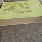 Book The Immortality Milan Kundera used