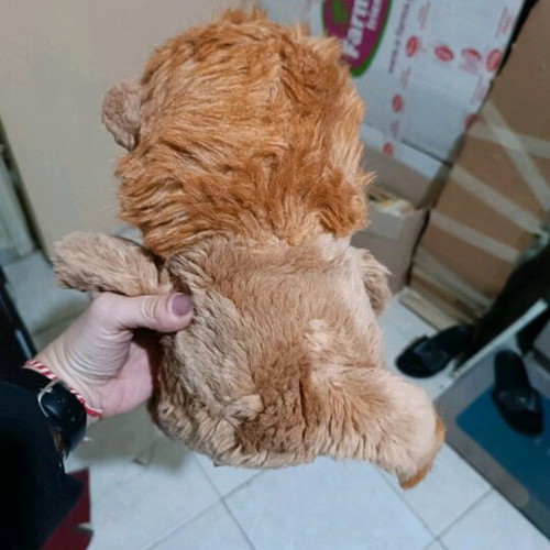 Plush lion used, washed and clean