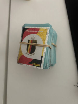 Panini World Cup 2026 single stickers, pack of 253
