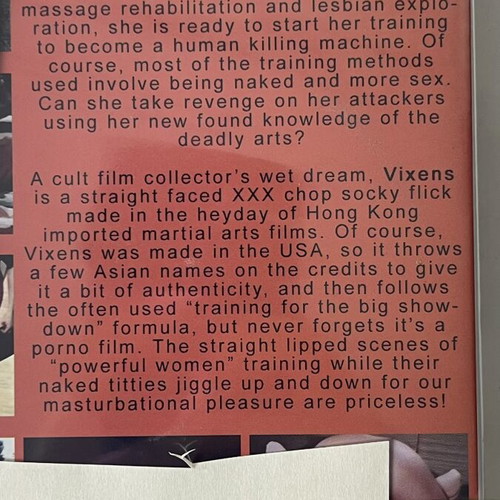 The Vixens of Kung Fu DVD Alpha Blue Archives sealed collector edition