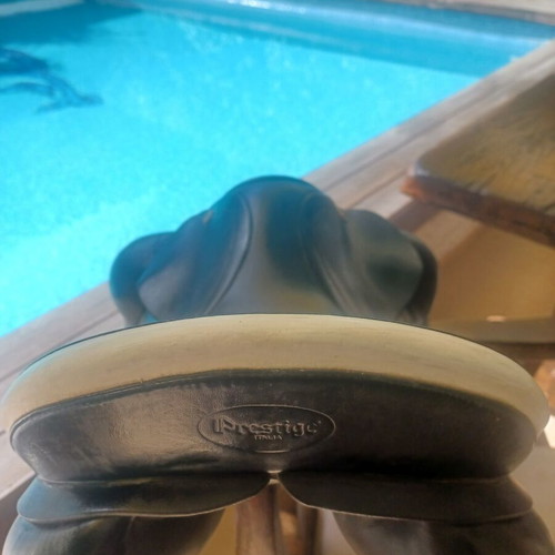 Prestige horse saddle like new