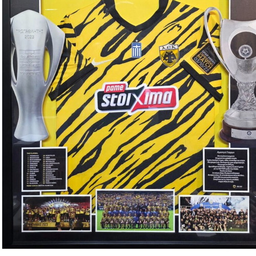 AEK Official Double Jersey Framed Display Case New