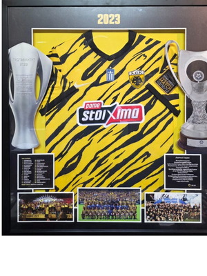 AEK Official Double Jersey Framed Display Case New
