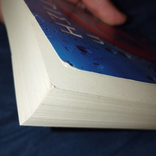 The 9th Crisis used book by James Patterson