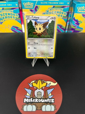 Lillipup Pokemon card used, Black and White 80/114, 2011