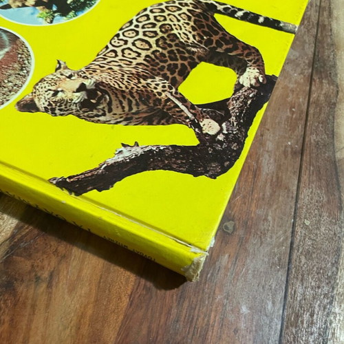 The Wonders of the Animal World used book by Walt Disney