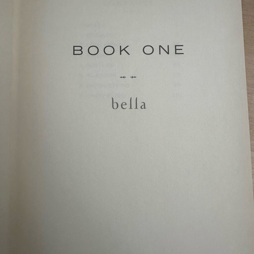 Breaking Dawn book used, English language