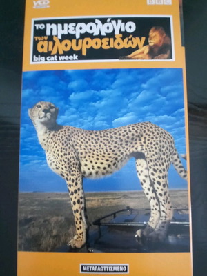 Big Cat Week 6 VCD Set The Diary of Big Cats new